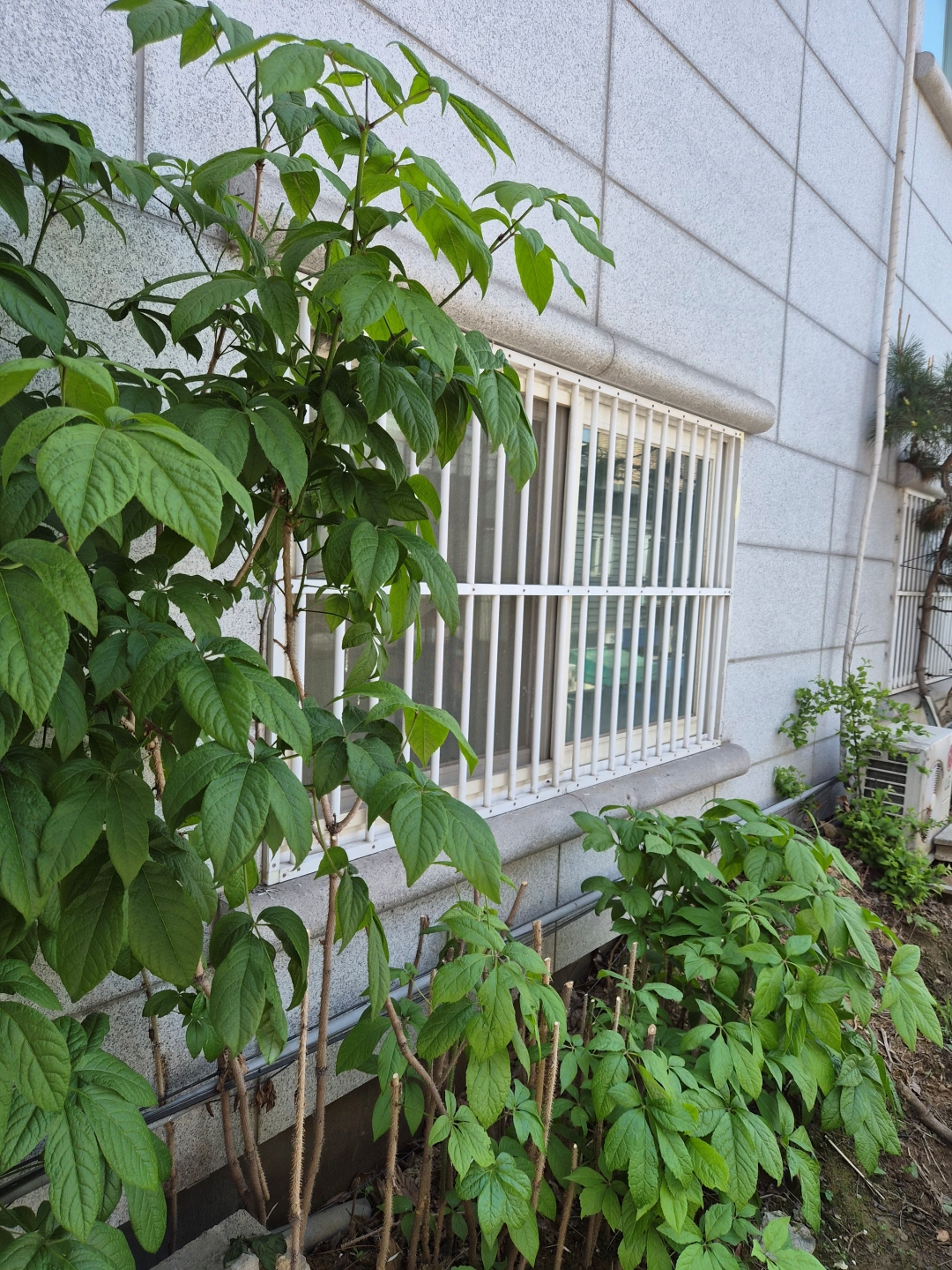 서울특별시 동작구 카페 바닥철거 현장 사진 4