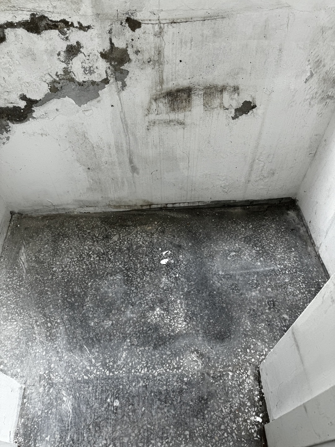 서울특별시 양천구 시장 죽집 철거 현장 사진 7