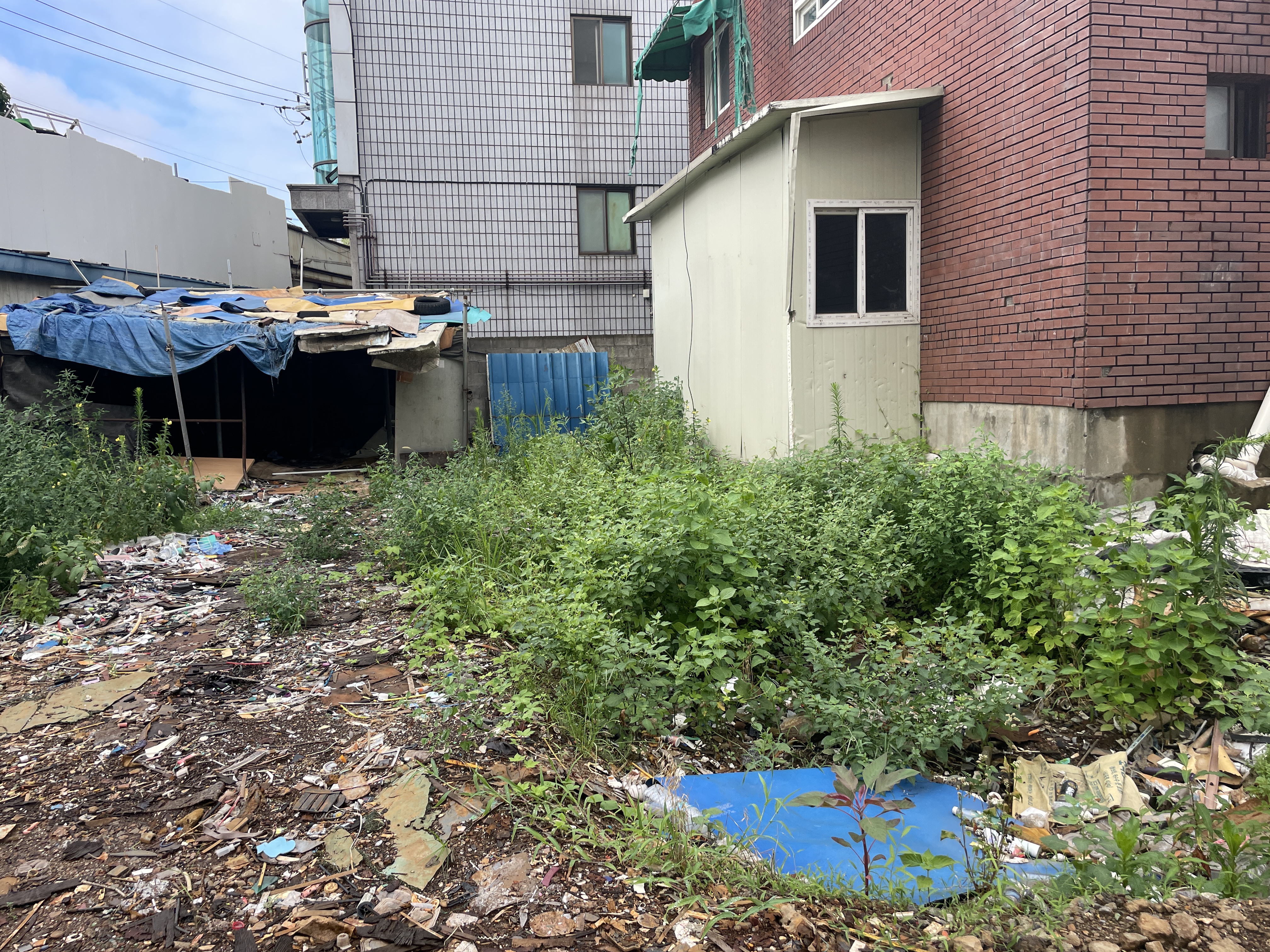 서울특별시 영등포구 건물완파 현장 사진 2